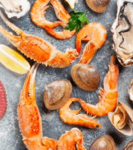 food ingredient supplier
