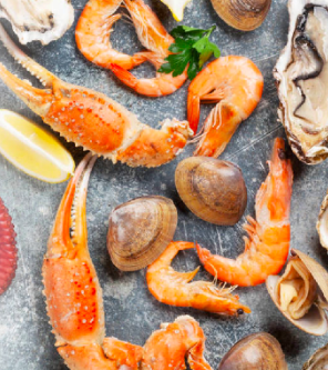 food ingredient supplier